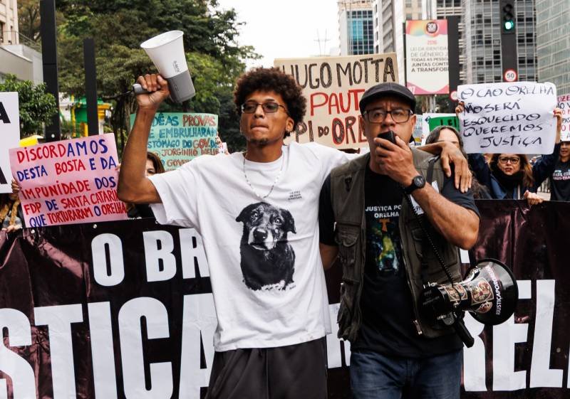 Manifestação na Avenida Paulista reúne centenas de pessoas em defesa dos animais e pede leis severas para maus tratos