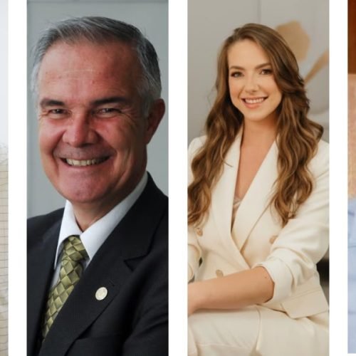 Os médicos Marco Orsini, Acary SB Oliveira, Luiza Travalloni e Carlos Henrique Melo Reis defendem o termo "Organização Artificial".