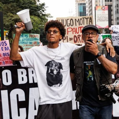 Manifestação na Avenida Paulista reúne centenas de pessoas em defesa dos animais e pede leis severas para maus tratos